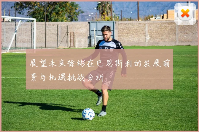 展望未来徐彬在巴恩斯利的发展前景与机遇挑战分析